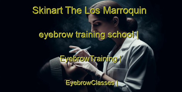 Skinart The Los Marroquin eyebrow training school | EyebrowTraining | EyebrowClasses | SkinartTraining-Mexico
